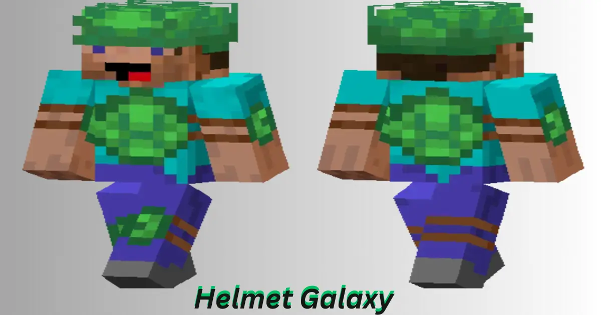 Turtle Helmet